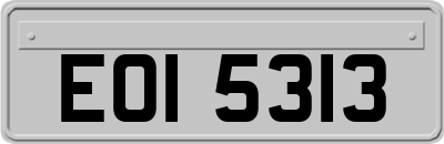 EOI5313