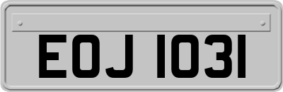 EOJ1031