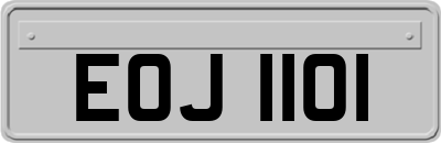 EOJ1101