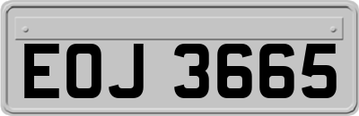EOJ3665
