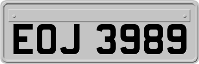 EOJ3989