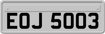 EOJ5003