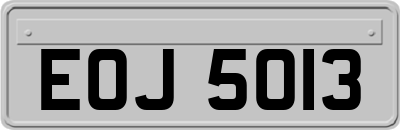 EOJ5013
