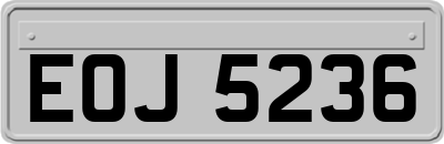 EOJ5236