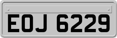 EOJ6229