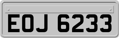 EOJ6233