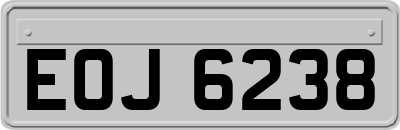 EOJ6238