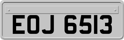 EOJ6513