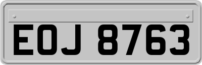 EOJ8763