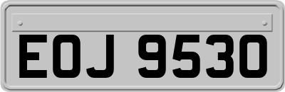 EOJ9530