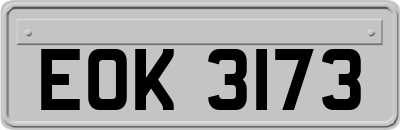 EOK3173