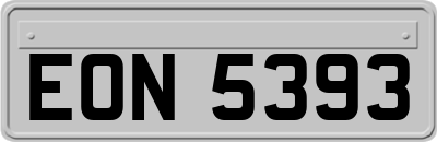 EON5393
