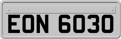 EON6030