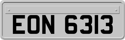 EON6313
