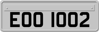 EOO1002