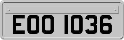 EOO1036
