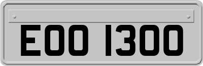 EOO1300