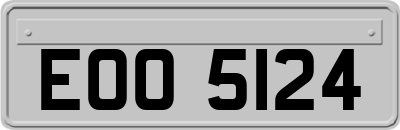 EOO5124