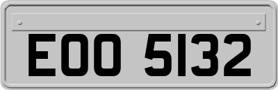 EOO5132