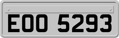 EOO5293