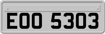 EOO5303
