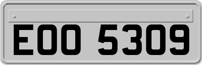 EOO5309