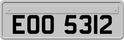 EOO5312