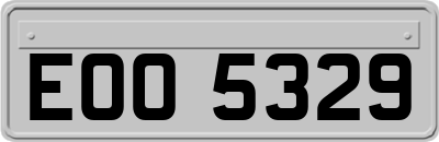 EOO5329