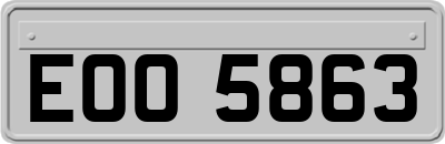 EOO5863