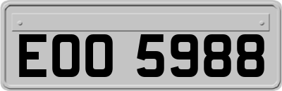 EOO5988