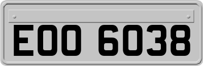 EOO6038