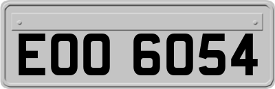 EOO6054
