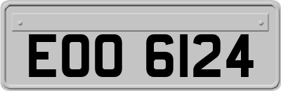 EOO6124