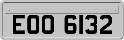 EOO6132