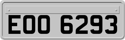 EOO6293