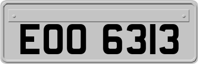 EOO6313