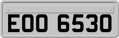 EOO6530