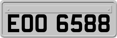 EOO6588