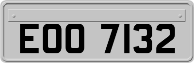 EOO7132