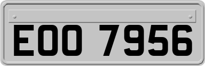 EOO7956