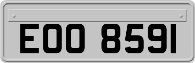 EOO8591