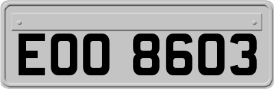 EOO8603