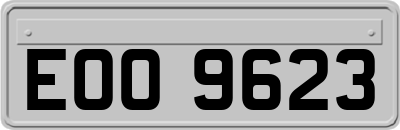 EOO9623