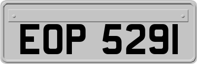 EOP5291