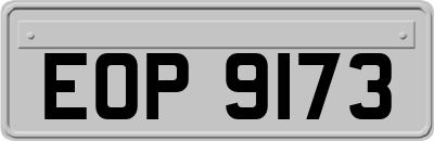 EOP9173