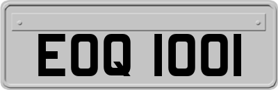 EOQ1001