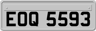 EOQ5593