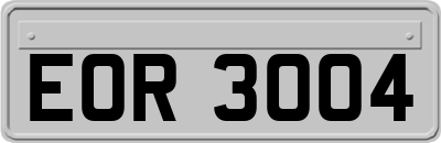 EOR3004