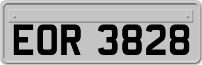 EOR3828