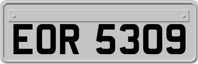 EOR5309